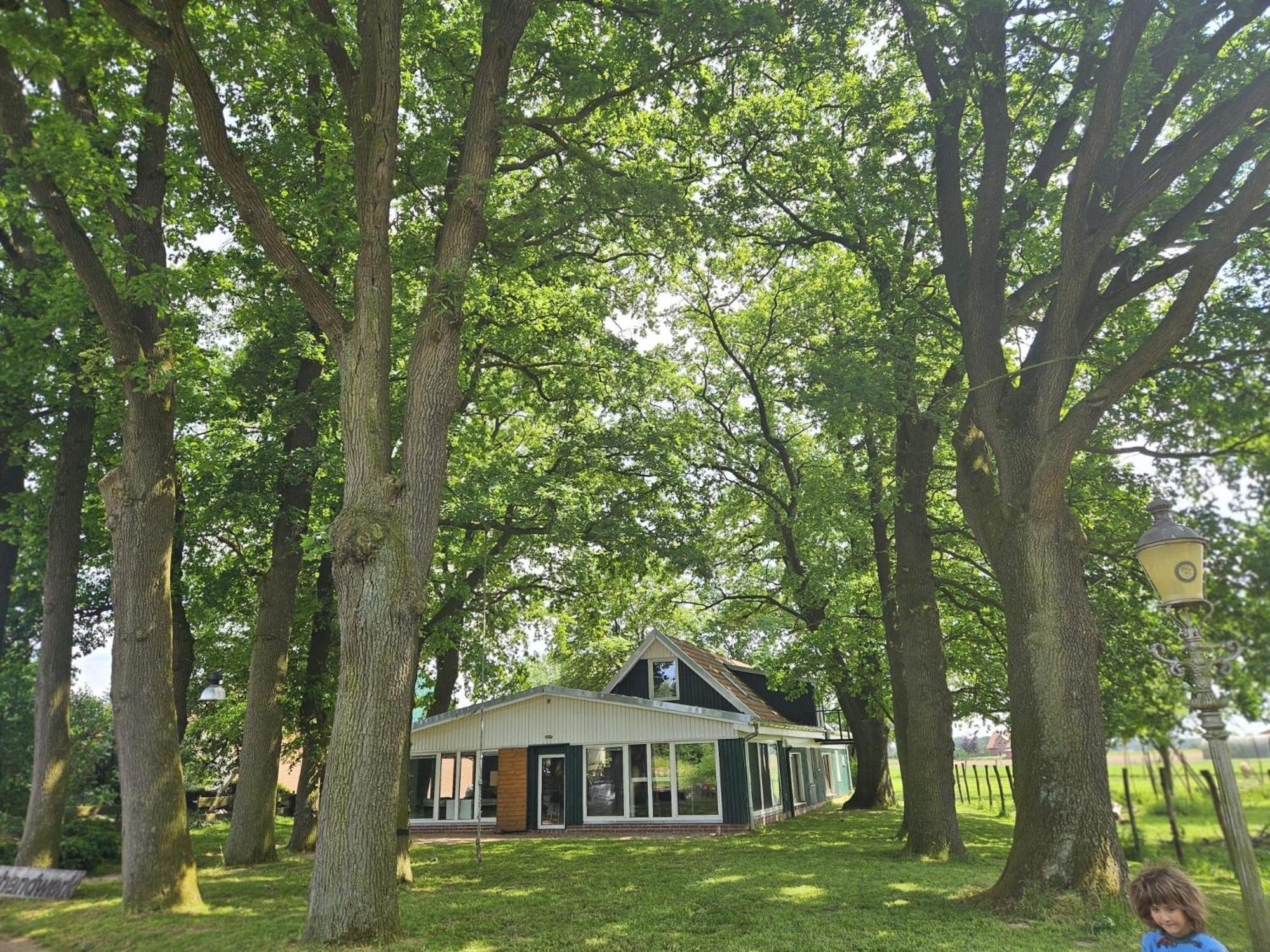 Ferienhaus Banana Lodge Bruchhausen-Vilsen Экстерьер фото