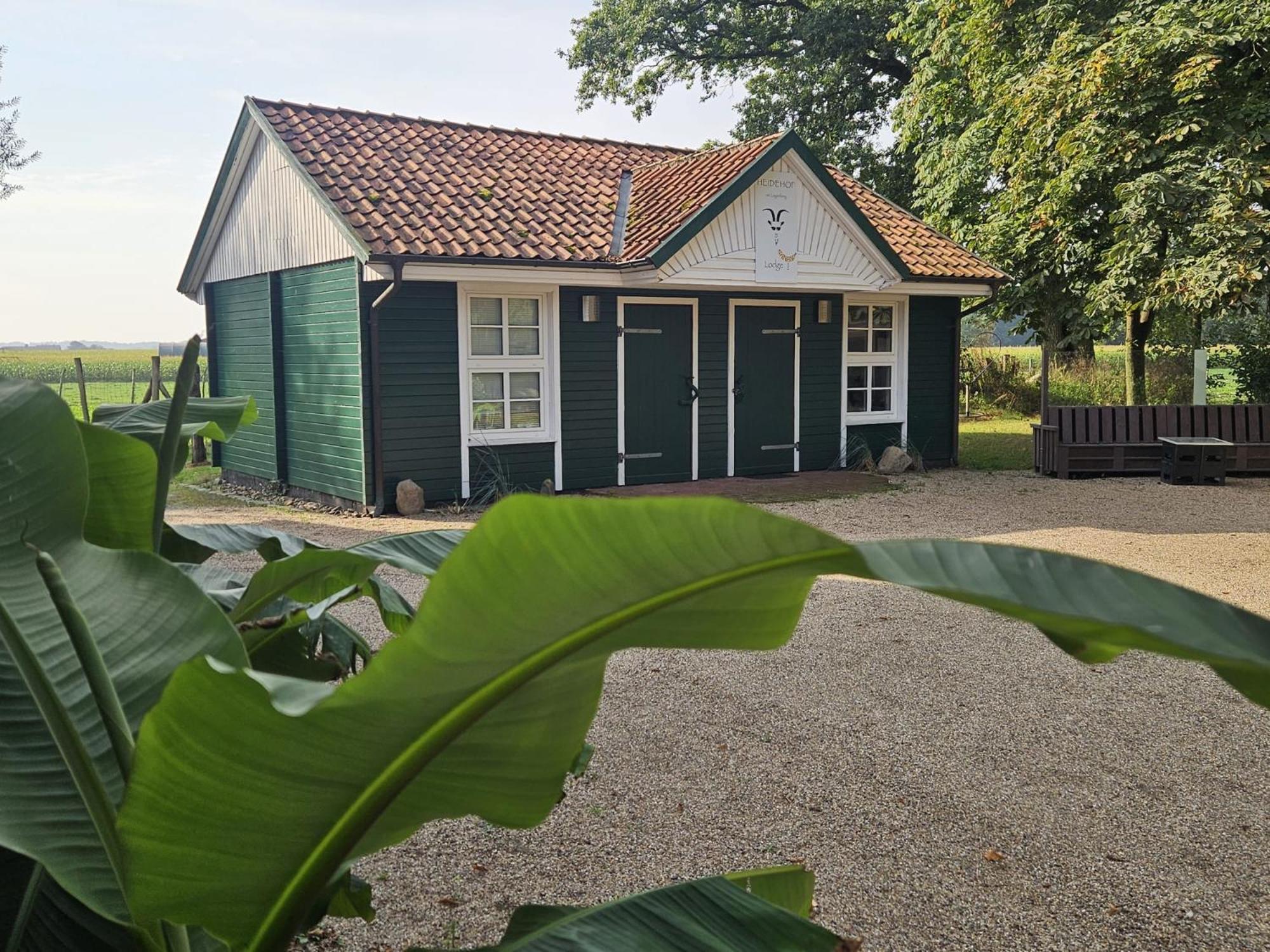 Ferienhaus Banana Lodge Bruchhausen-Vilsen Экстерьер фото